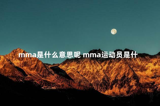 mma是什么意思呢 mma运动员是什么意思